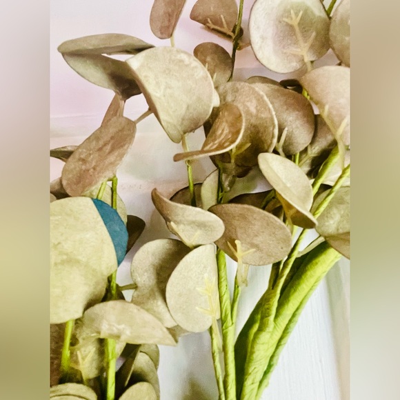 Foamy Silver Dollar Wreath, Sage, 20” - Picture 5 of 14